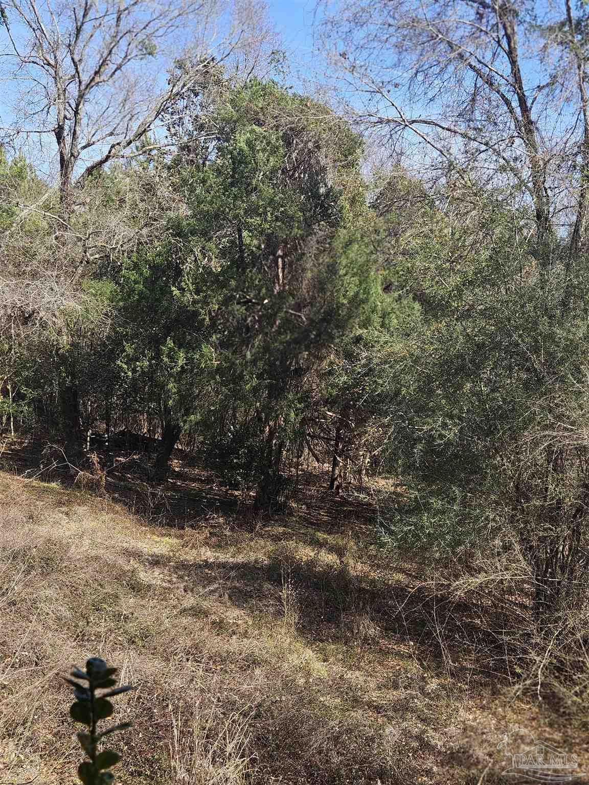 2779 Nelsontown Road Jay, FL 32565 - Photo 15 of 19