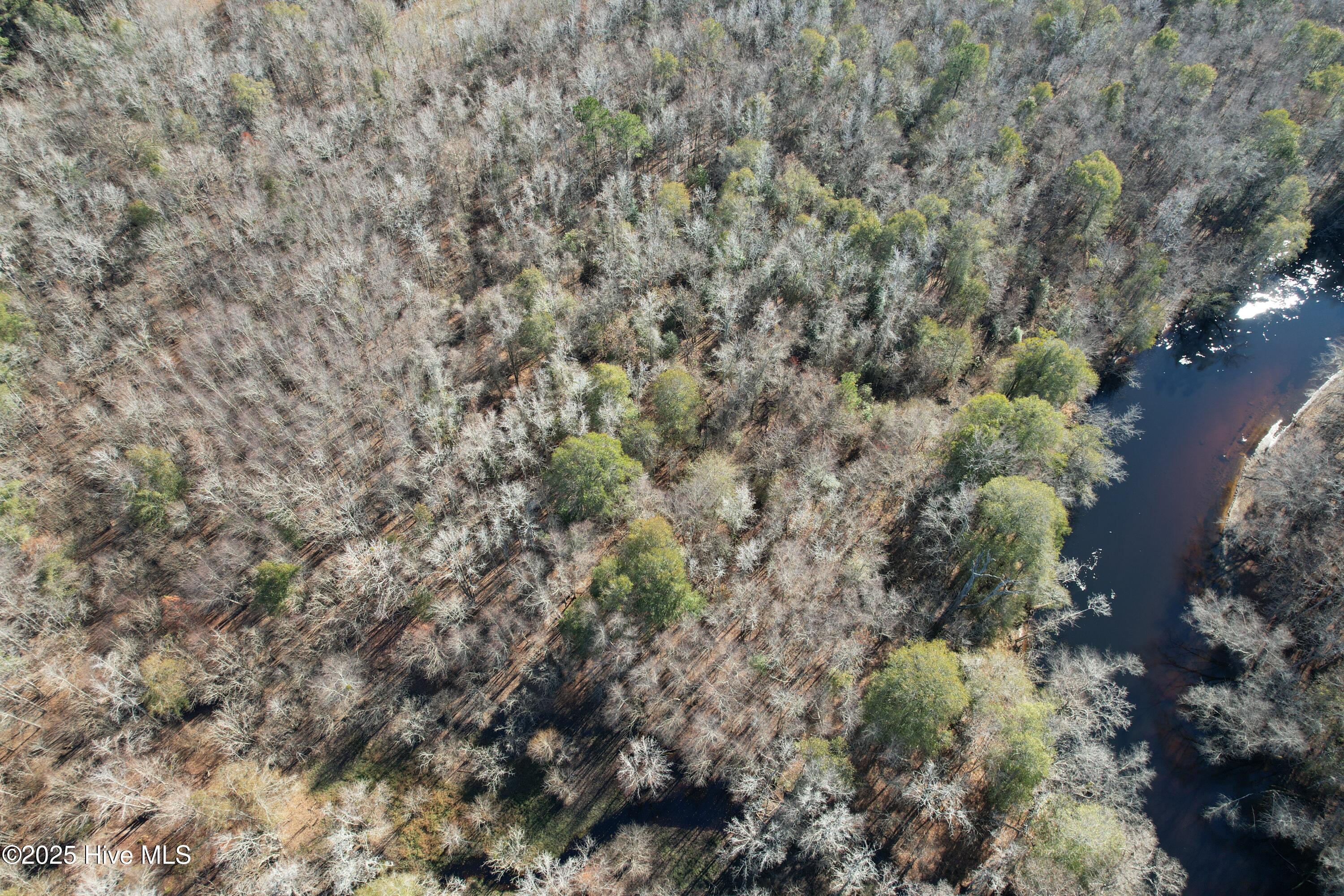 0 Macedonia Church Road Evergreen, NC 28438 - Photo 7 of 34 Image 7