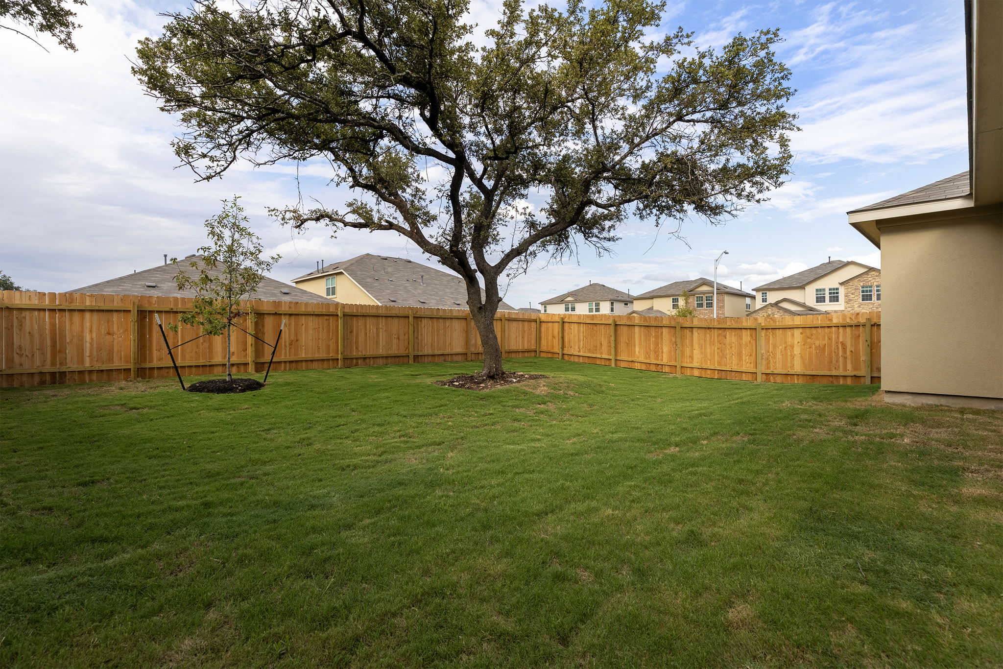 229 Hummingbird Flight Drive Georgetown, TX 78628 - Photo 23 of 26