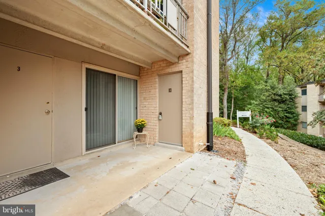 a view of a backyard with a bench