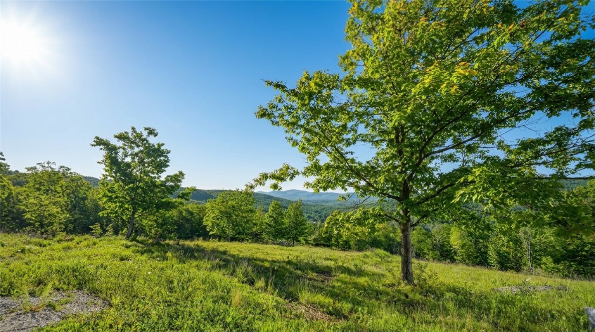 10.10 Cheese Hill Road Preston Hollow, NY 12469 - Photo 17 of 46