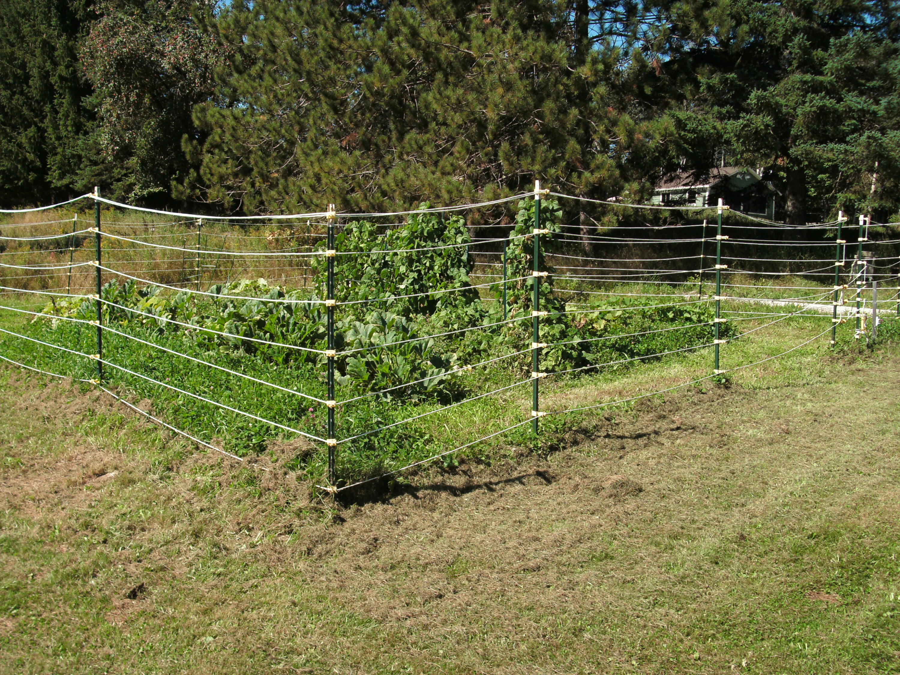 210 Eustis Ridge Road Eustis, ME 04936 - Photo 27 of 43 GEDC0132