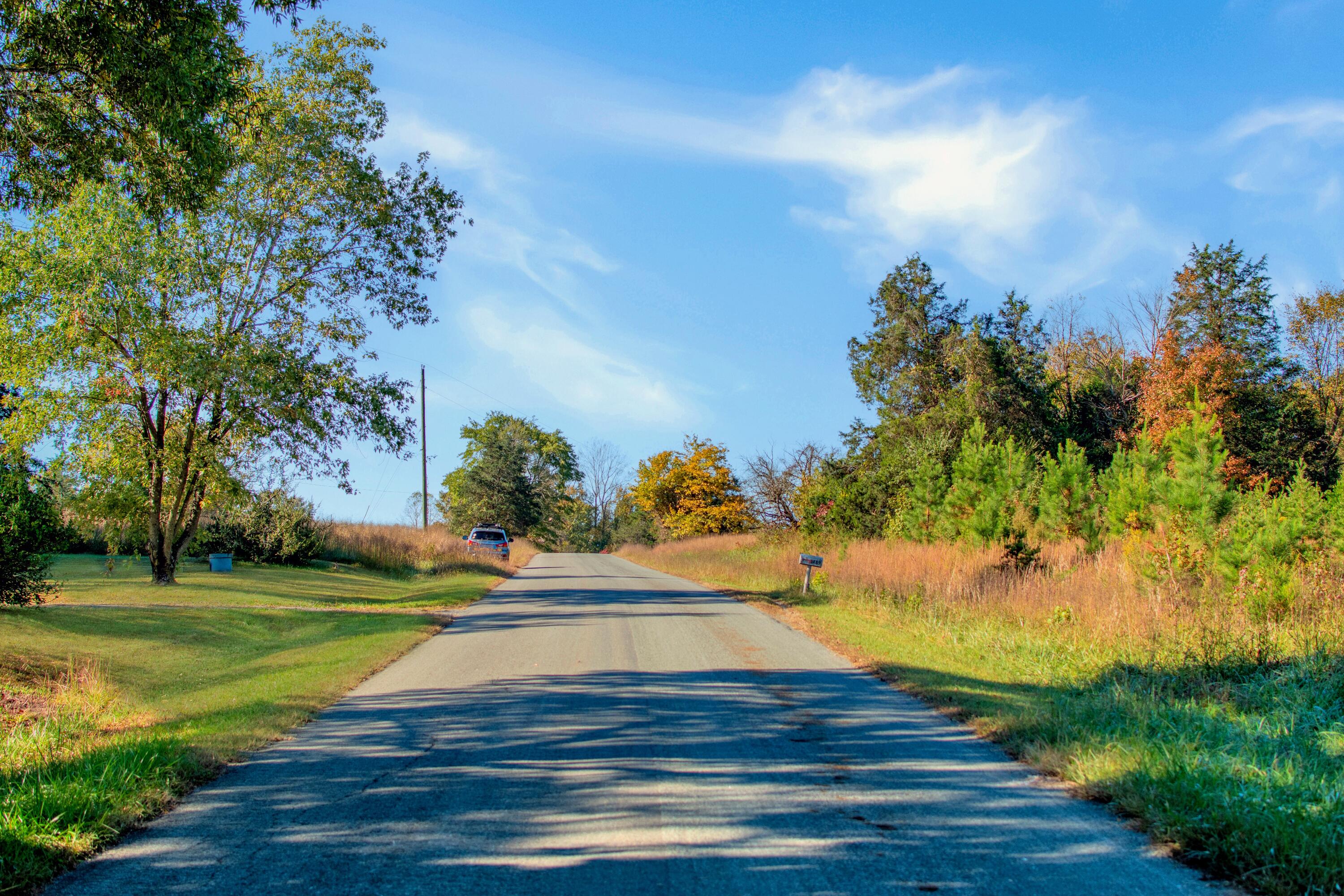 677 White Fall Road Gretna, VA 24557 - Photo 19 of 22 a view of a yard with yellow house