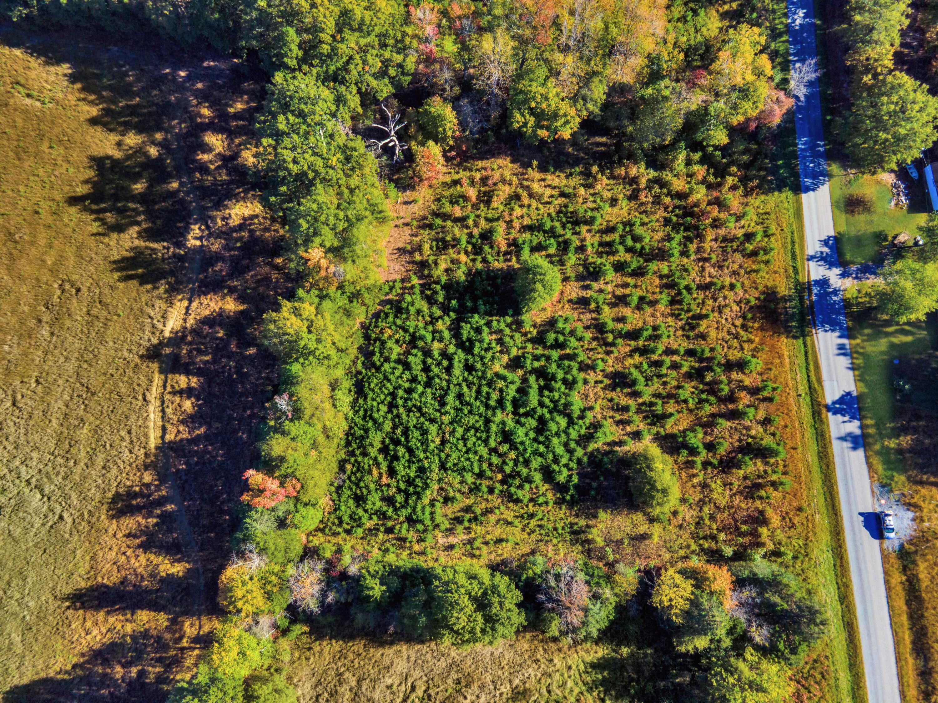 677 White Fall Road Gretna, VA 24557 - Photo 4 of 22