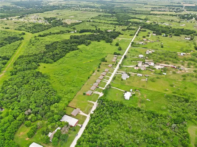 a lush green field with lots of bushes