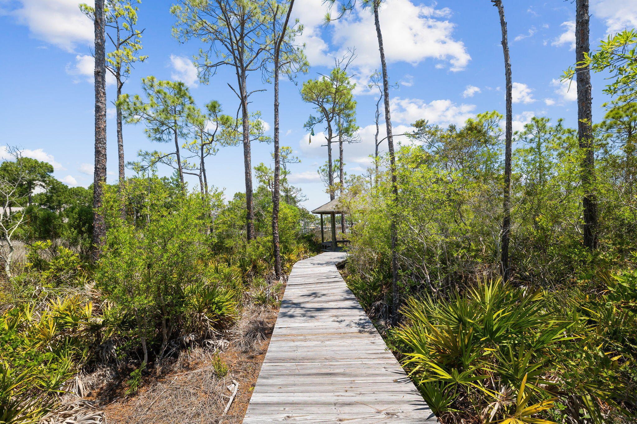 236 Mattie's Way Destin, FL 32541 - Photo 131 of 156 20230527021811415998000000-o