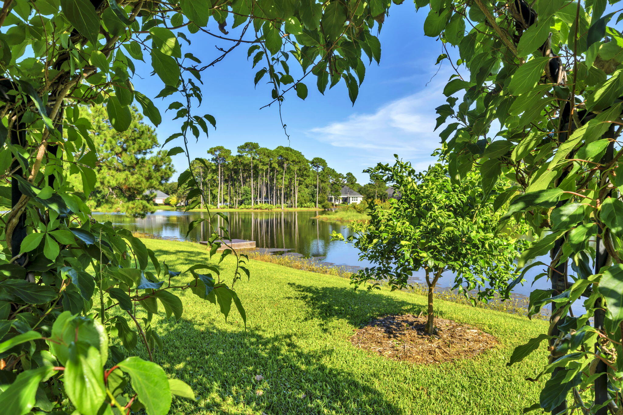 236 Mattie's Way Destin, FL 32541 - Photo 78 of 156 a view of a yard