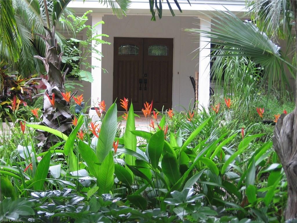 a close up of a flower in a garden
