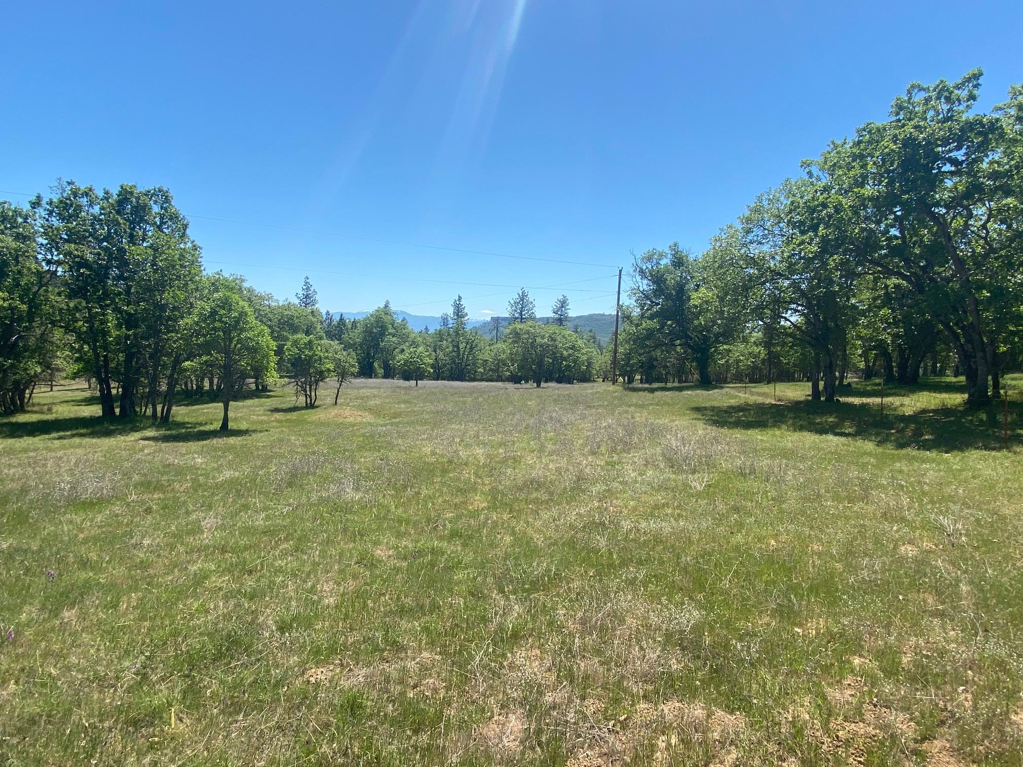 13067 Duggan Road Gold Hill, OR 97525 - Photo 3 of 11 Meadow 2