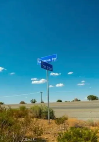 a lamp that is on a tree with a yard