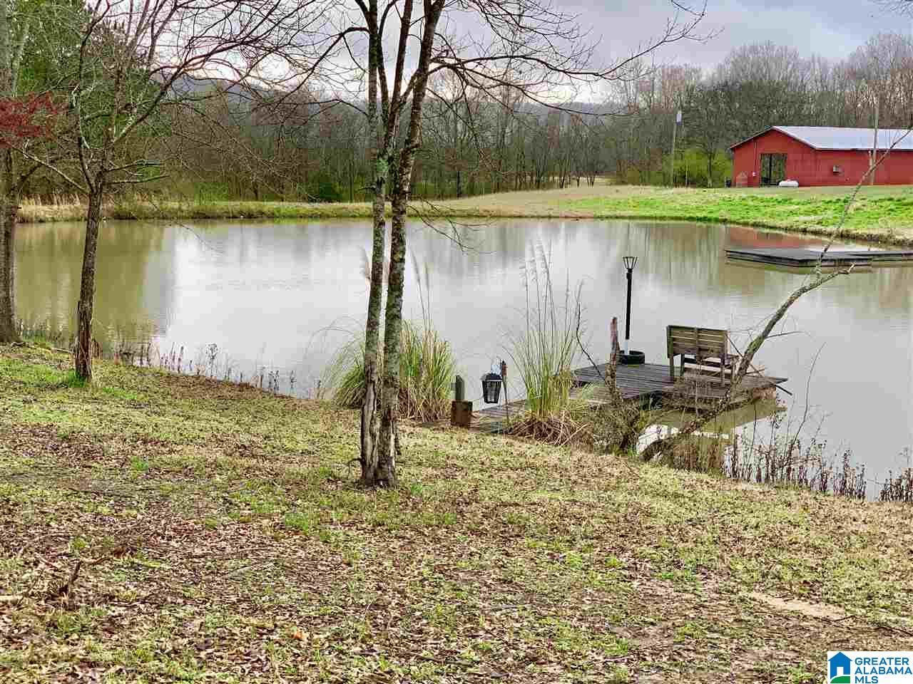 3139 Green Valley Road Gadsden, AL 35907 - Photo 49 of 49