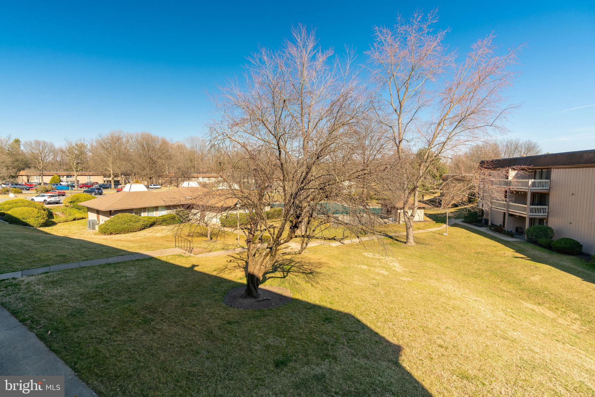 5823 Royal Ridge Drive, Unit P Springfield, VA 22152 - Photo 35 of 48 View towards pool