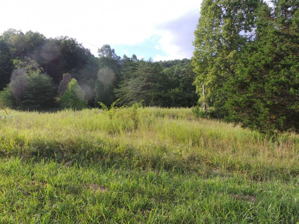 0 High Rock Road Rogersville, TN 37857 - Photo 9 of 20 Photo 9