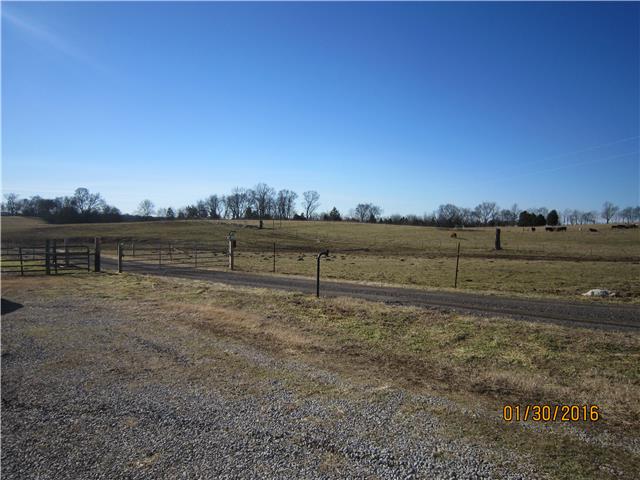 534 Governor Hall Road Castalian Springs, TN 37031 - Photo 13 of 14 View from deck