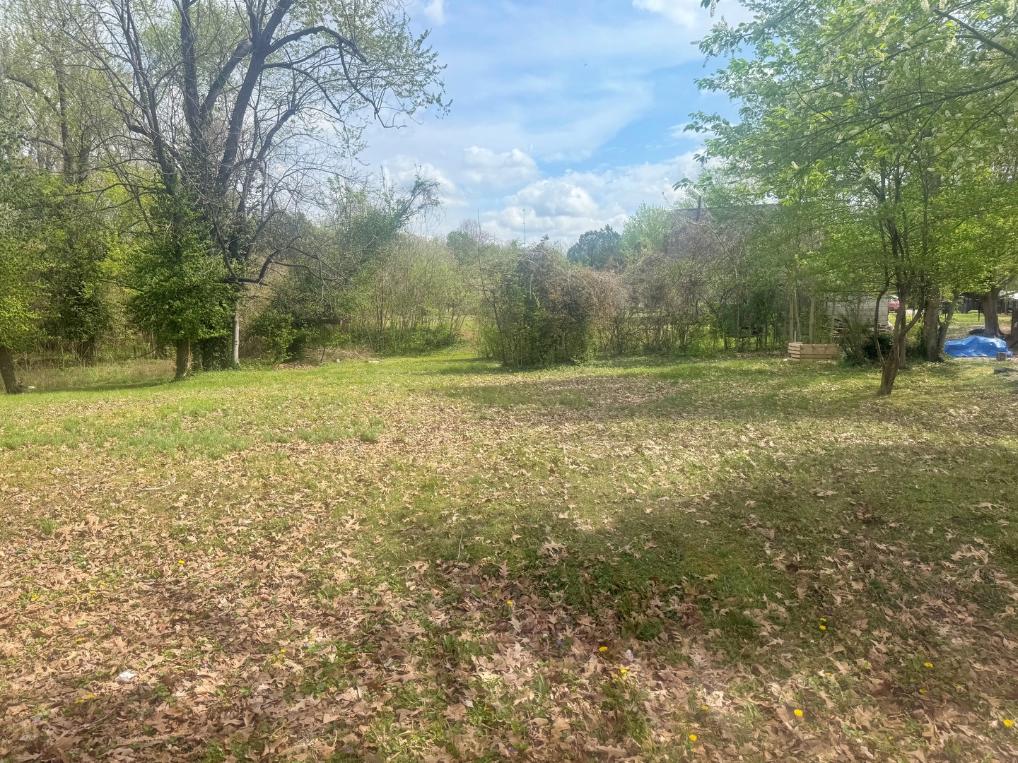 701 East 16th Street Metropolis, IL 62960 - Photo 1 of 3