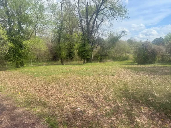 a view of outdoor space with trees all around