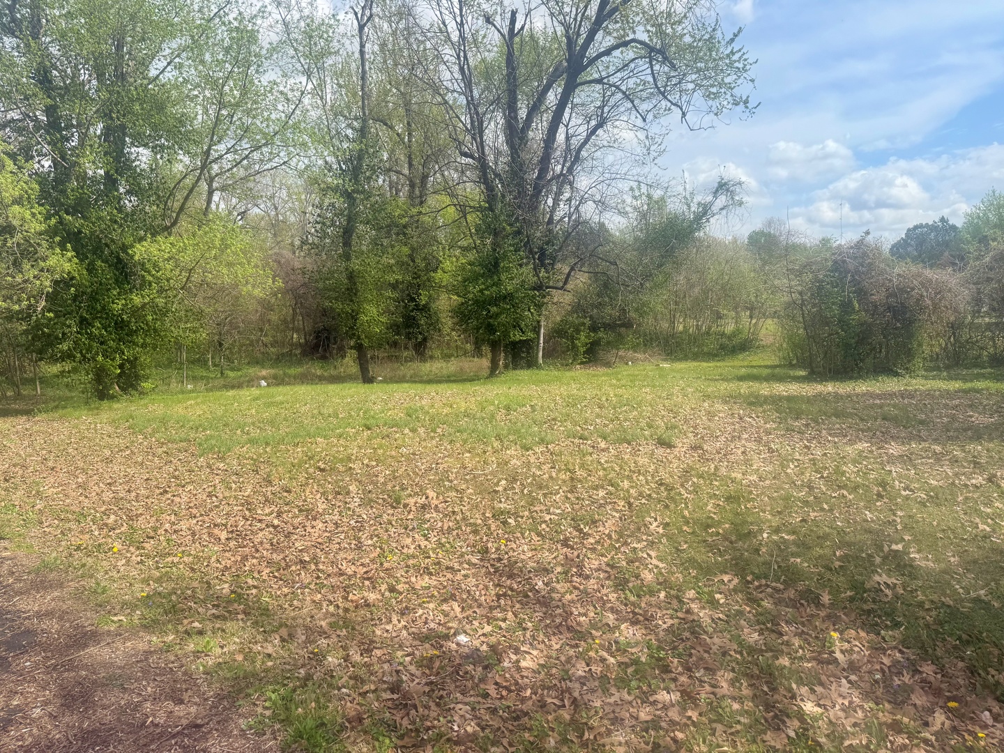 701 East 16th Street Metropolis, IL 62960 - Photo 2 of 3