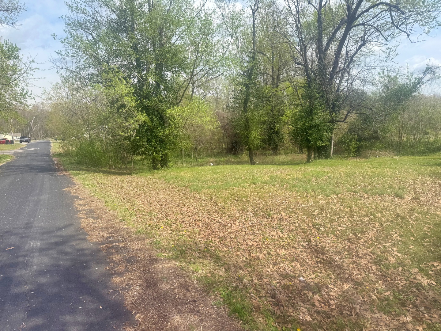 701 East 16th Street Metropolis, IL 62960 - Photo 3 of 3