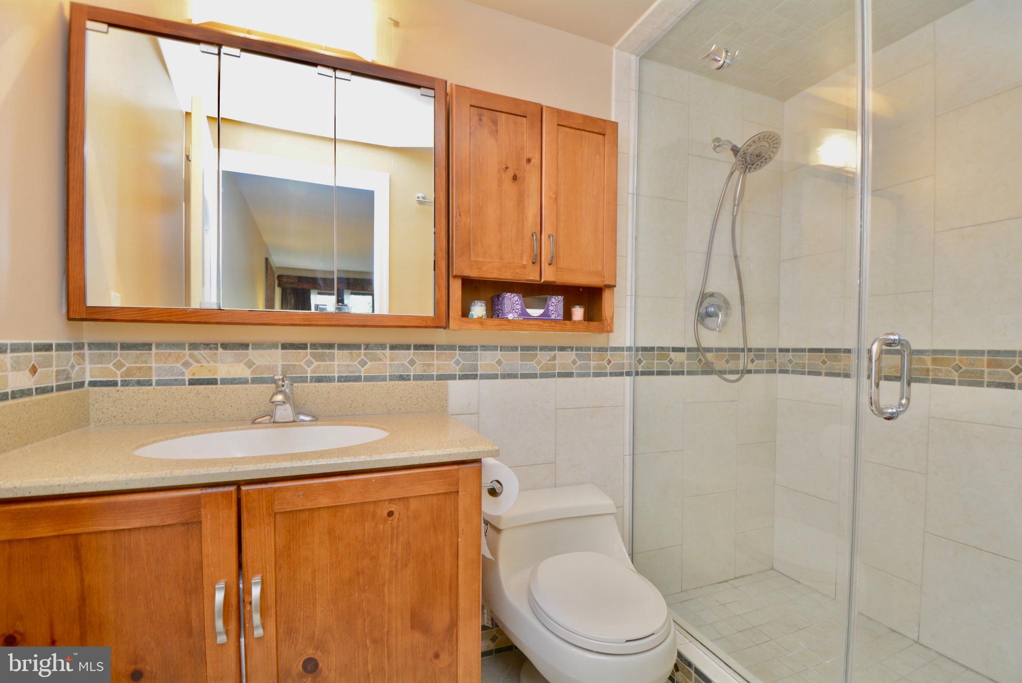 5947 Hall Street Springfield, VA 22152 - Photo 24 of 38 Renovated bath in Owners' Suite.