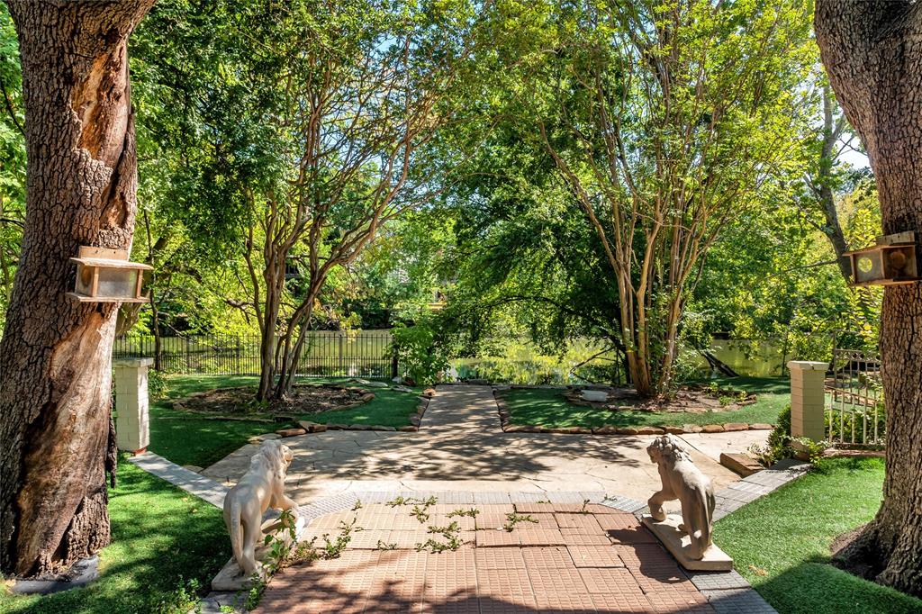 9909 Preston Road Dallas, TX 75230 - Photo 17 of 22 a view of a yard with plants and trees