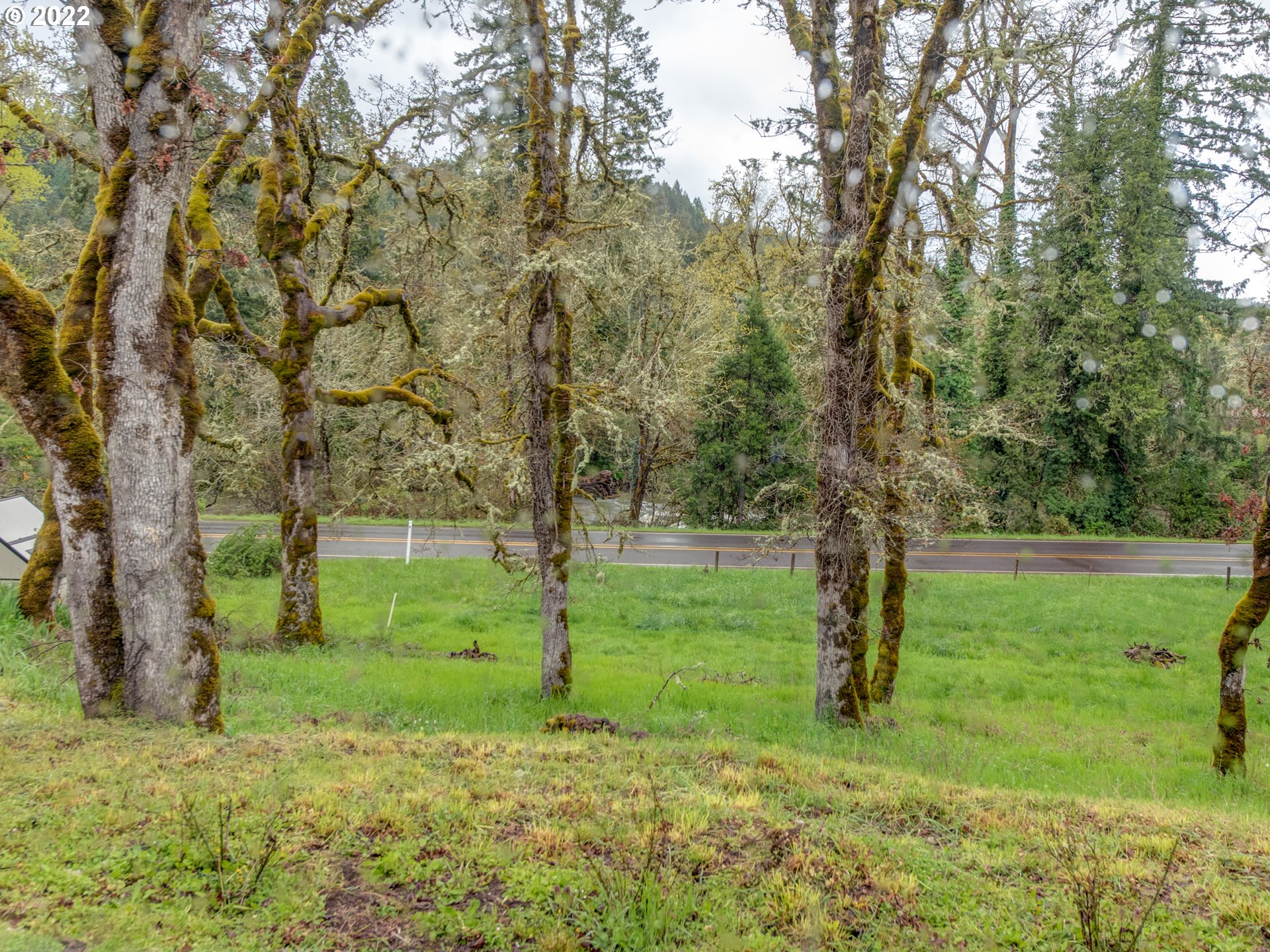 39275 Little Fall Creek Road Fall Creek, OR 97438 - Photo 18 of 27