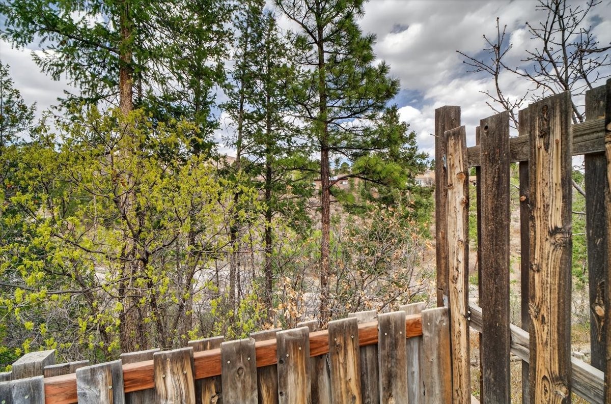 4288 Ridgeway Drive Los Alamos, NM 87544 - Photo 46 of 54