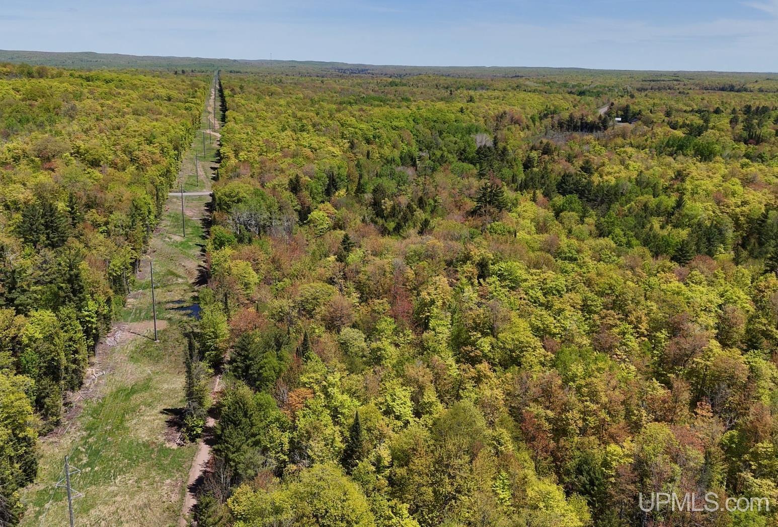 Tbdh Off Winona Road Toivola, MI 49965 - Photo 6 of 14 Gallery Image 6