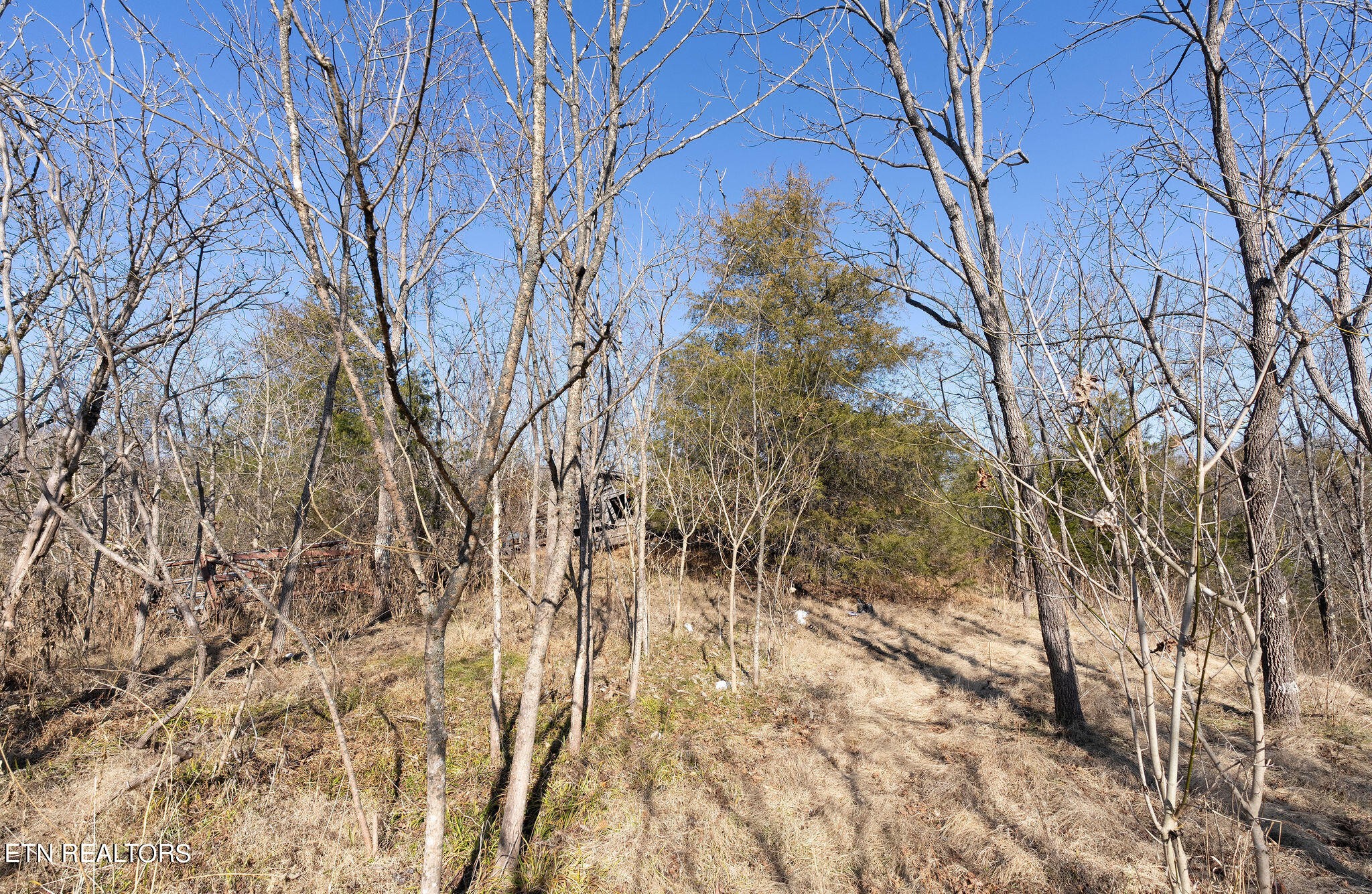 176 Moulton Road Fall Branch, TN 37656 - Photo 25 of 28 Gallery Image 25