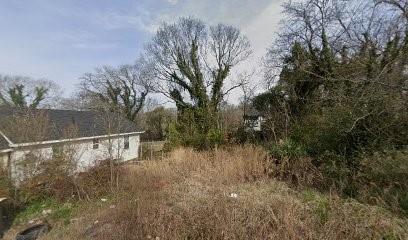 14 McGhee Street Southwest Rome, GA 30161 - Photo 1 of 1 a view of a forest