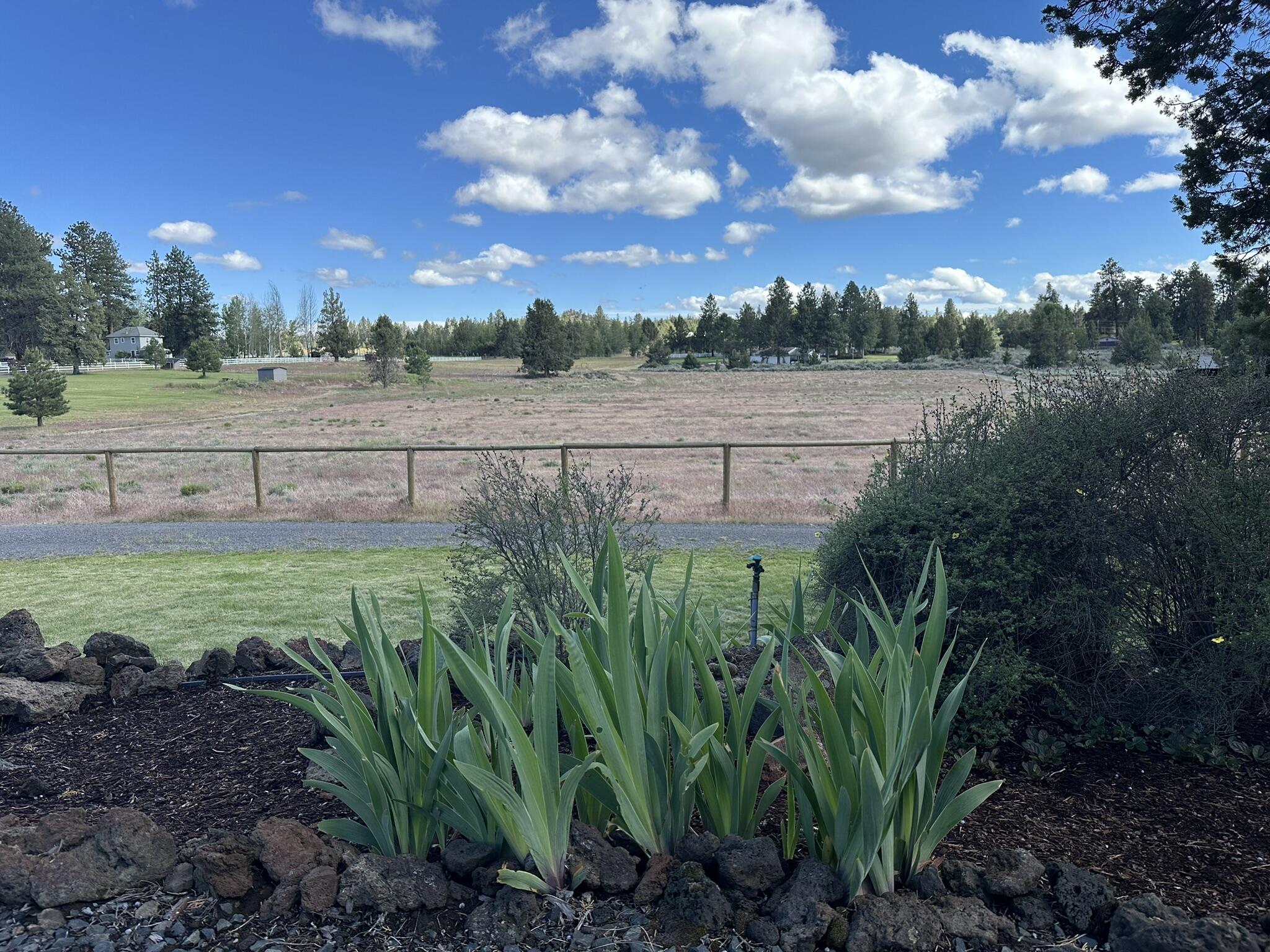 60384 Arnold Market Road Bend, OR 97702 - Photo 10 of 93 a view of a garden