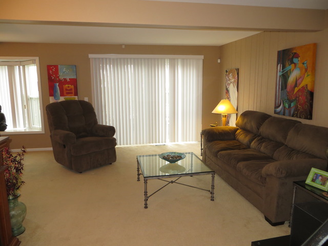 116 Julie Road Bolingbrook, IL 60440 - Photo 7 of 21 a living room with furniture and a large window
