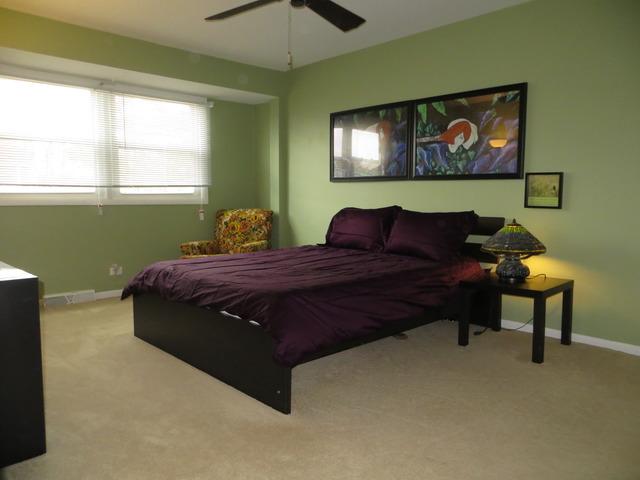 116 Julie Road Bolingbrook, IL 60440 - Photo 9 of 21 a bedroom with a bed and a painting on the wall