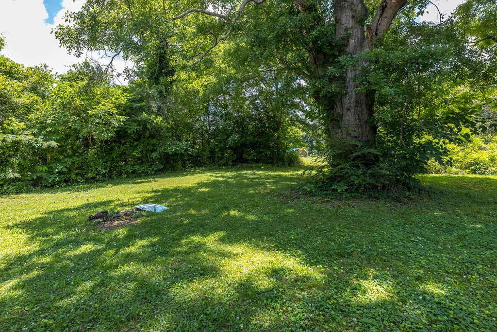 604 Pear Street West Point, GA 31833 - Photo 29 of 30