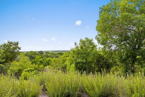 a view of a yard with trees in the background