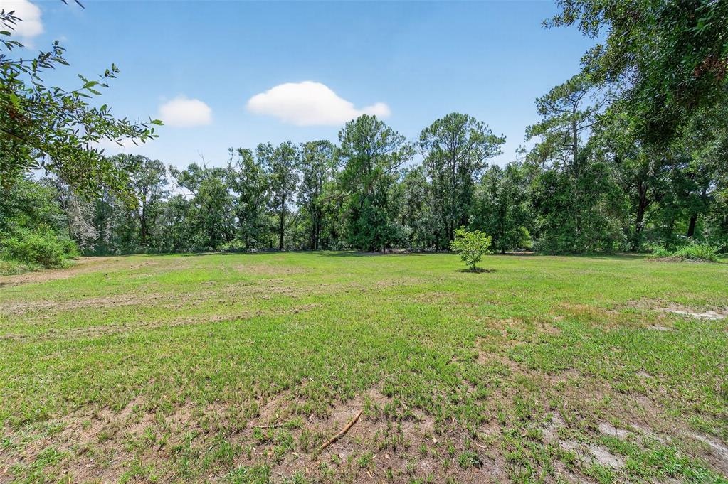 4618 Deeson Road Lakeland, FL 33810 - Photo 31 of 36 a view of a field with trees in the background