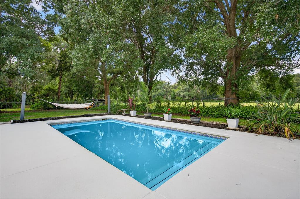 4618 Deeson Road Lakeland, FL 33810 - Photo 36 of 36 a view of a swimming pool and trees in the background