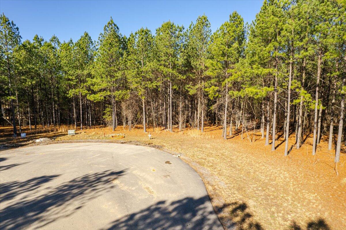 0 Bootleg Dri, Unit JF 204 Jasper, TN 37347 - Photo 3 of 36 02-DJI_0415-HDR