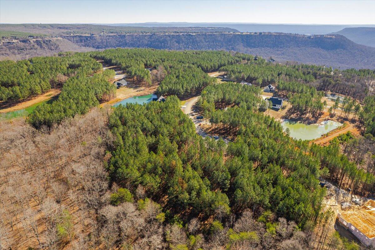 0 Bootleg Dri, Unit JF 204 Jasper, TN 37347 - Photo 31 of 36 11-DJI_0430-HDR
