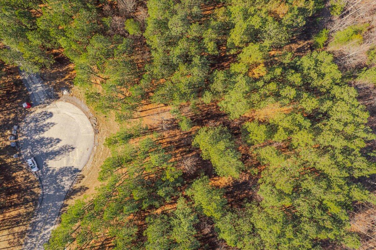 0 Bootleg Dri, Unit JF 204 Jasper, TN 37347 - Photo 33 of 36 13-DJI_0424-HDR