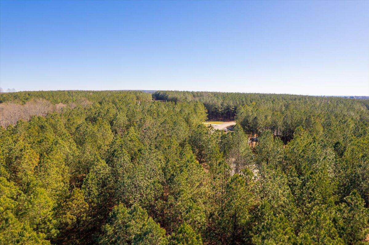 0 Bootleg Dri, Unit JF 204 Jasper, TN 37347 - Photo 4 of 36 03-DJI_0454-HDR