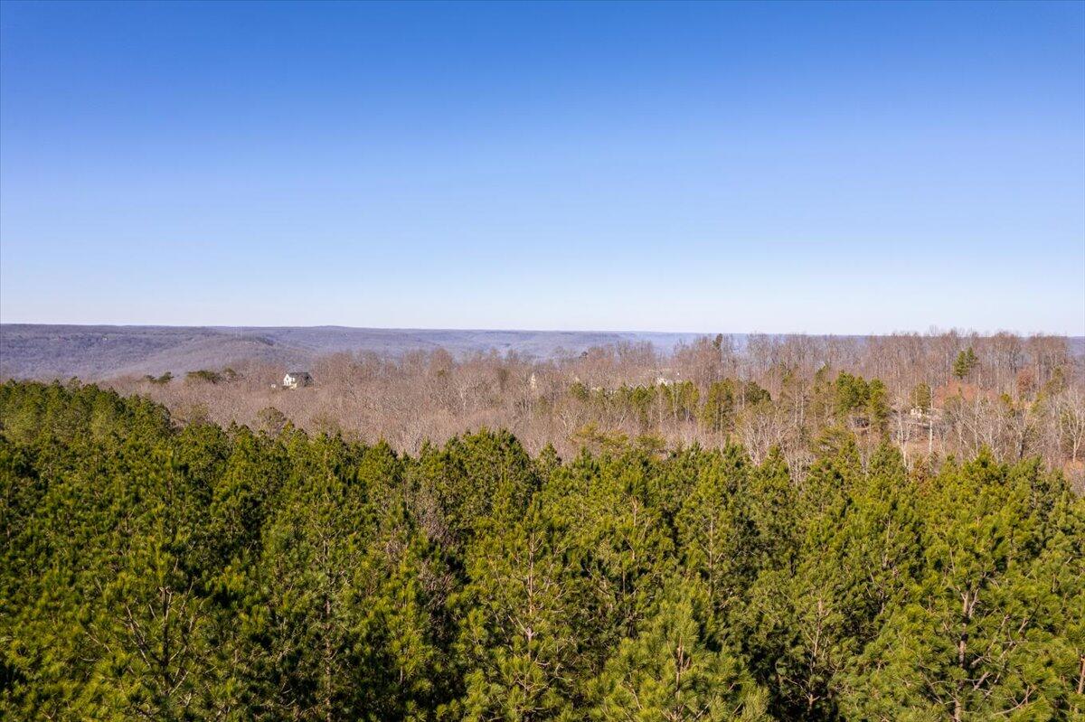 0 Bootleg Dri, Unit JF 204 Jasper, TN 37347 - Photo 5 of 36 04-DJI_0451-HDR