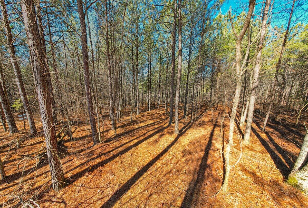 0 Bootleg Dri, Unit JF 204 Jasper, TN 37347 - Photo 6 of 36 15-DJI_0412