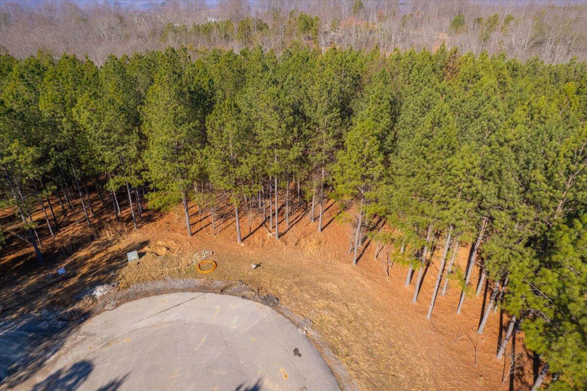 0 Bootleg Dri, Unit JF 204 Jasper, TN 37347 - Photo 8 of 36 06-DJI_0448-HDR
