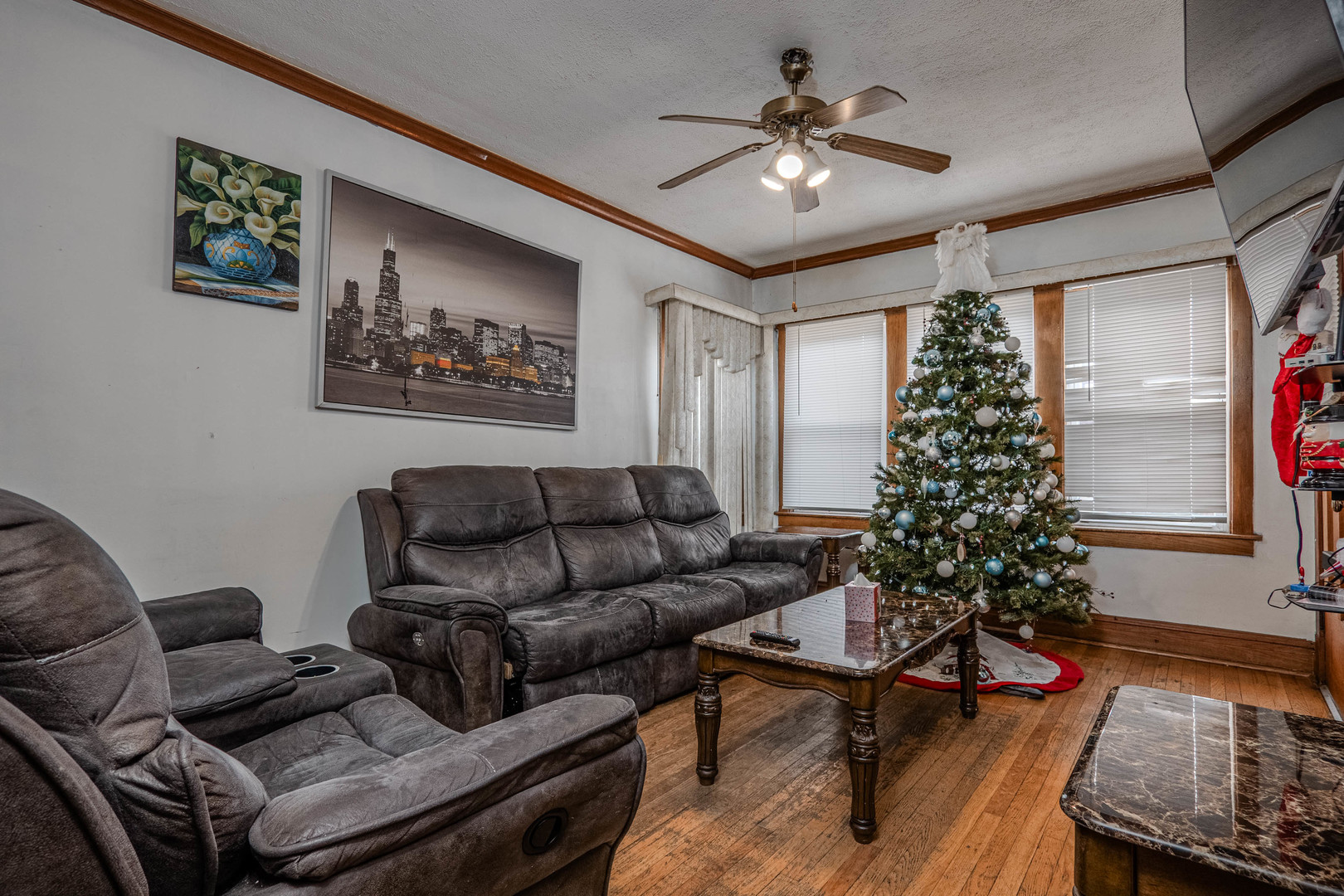 1435 Grove Avenue Berwyn, IL 60402 - Photo 3 of 25 a living room with furniture and a christmas tree