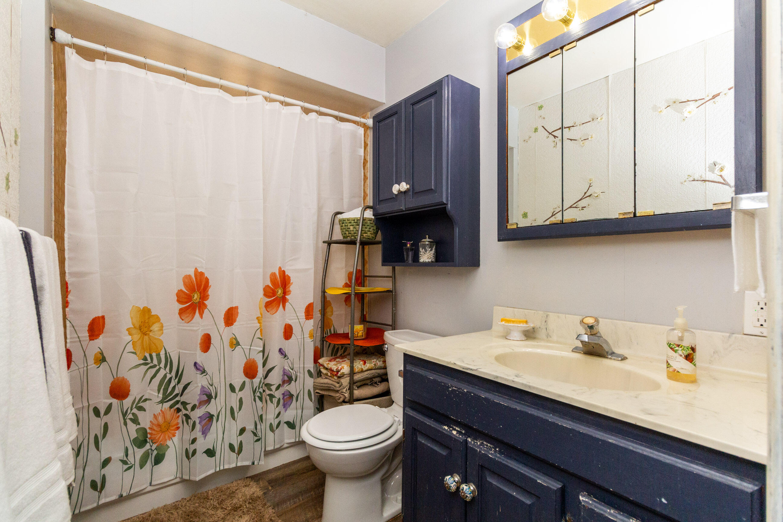 3860 South Latson Road Howell, MI 48843 - Photo 20 of 34 Full Bathroom