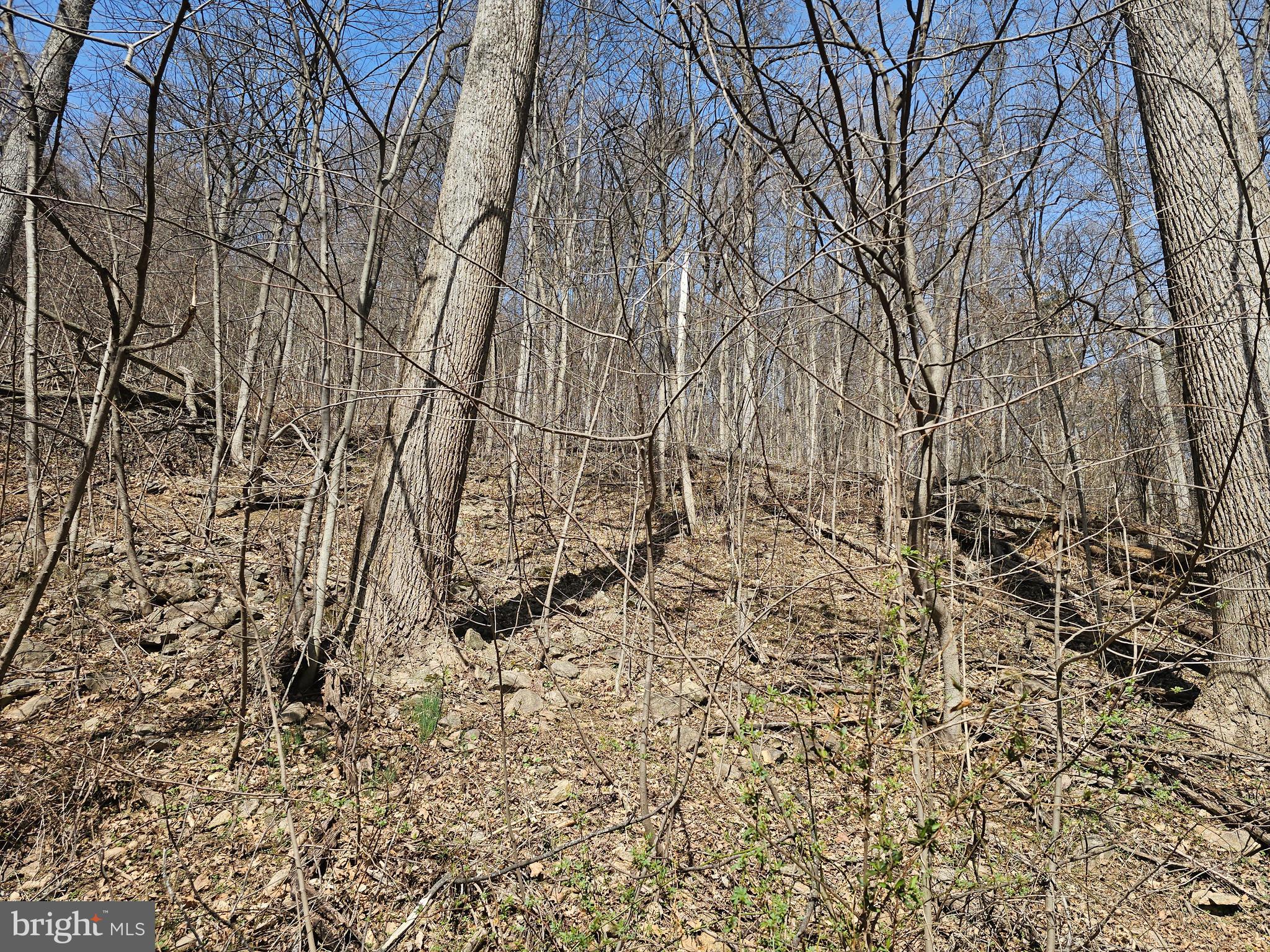 20 Plain View Trail Fairfield, PA 17320 - Photo 1 of 4