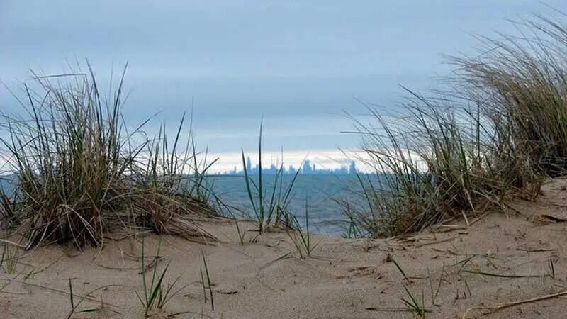 66 Ski Hill Road Portage, IN 46368 - Photo 48 of 48 a backyard of a house with lots of green space