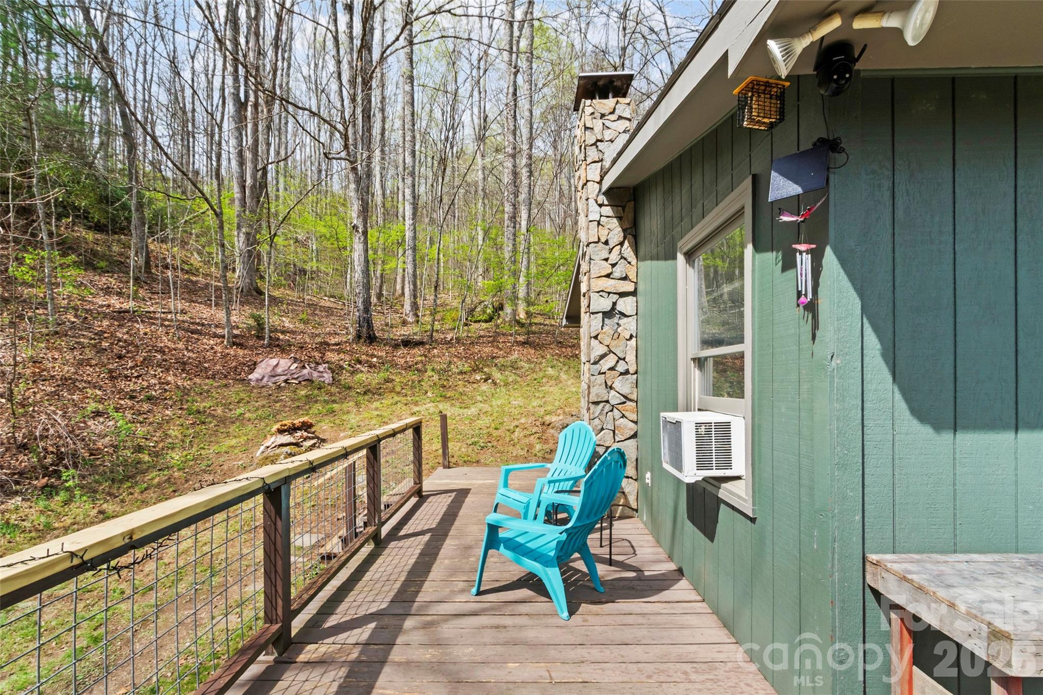 183 Stoney Fork Road Barnardsville, NC 28709 - Photo 7 of 34