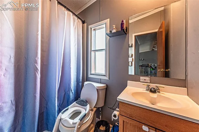 a bathroom with a sink a toilet a mirror and shower curtain