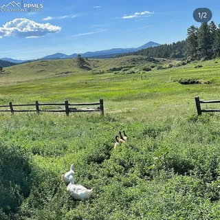 a view of a lake with a mountain in the background